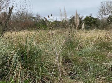 Terreno , Escobar · Lote en Venta, Escobar.