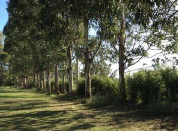 Terreno , Pilar · Santo Tomas Lote Central - Cuan Propiedades