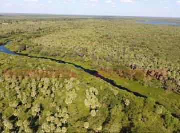 Campo · 140000000m² · 1 Ambiente · Excelente Campo Ganadero de 14.000 Has en Patiño, Formosa