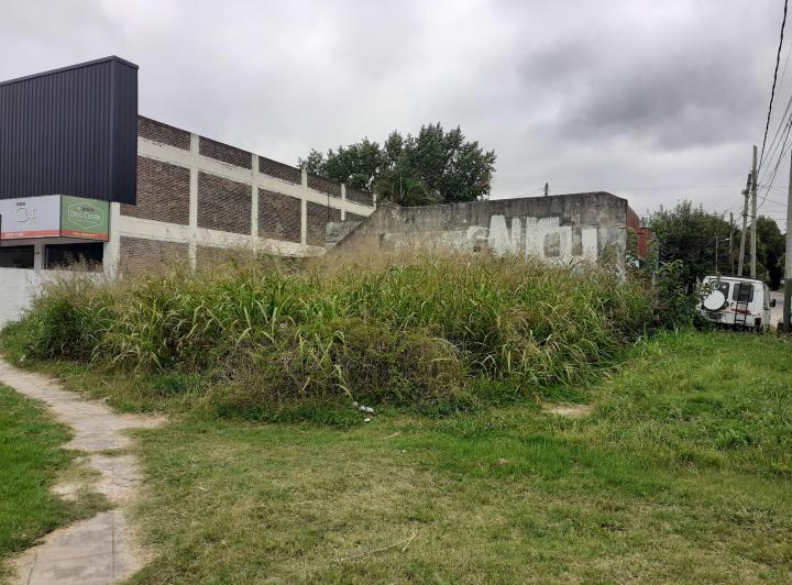 Terreno · 232m²