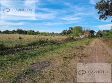 Campo · 1000000000m² · Campo en Venta en Vicente Casares