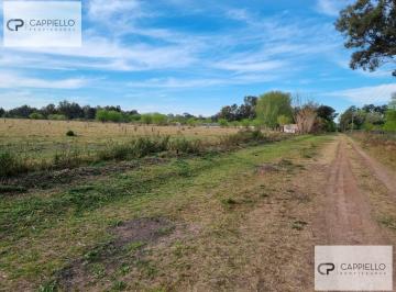 Campo · 10ha · Campo en Venta en Vicente Casares