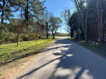 Terreno , Exaltación de la Cruz · Hermoso Lote Arbolado en El Remanso