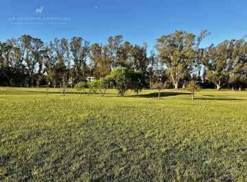 Terreno · 1000m² · Terreno en Venta en La Reserva Cardales - Sofitel