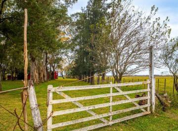 Campo · Campo en Abbott