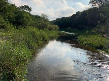 Foto · Campo Sobre Rio Pinto a Pococ Kms de La Iglesia de Santa Catalina.