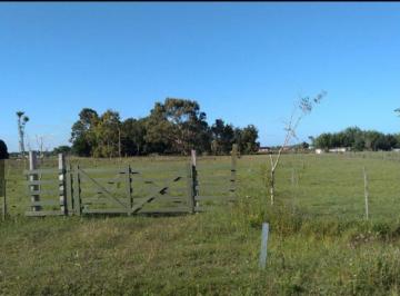 Terreno , Mar de Ajó · Lote Paraje Pavon. Anticipo y Cuotas. Acepta Vehiculo en Parte de Pago