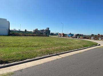 Terreno · 360m² · San Ignacio Village - Lote Central