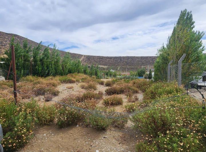 Terreno · 375m²