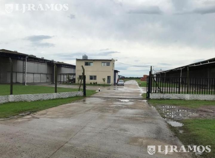 Depósito · 10000m²