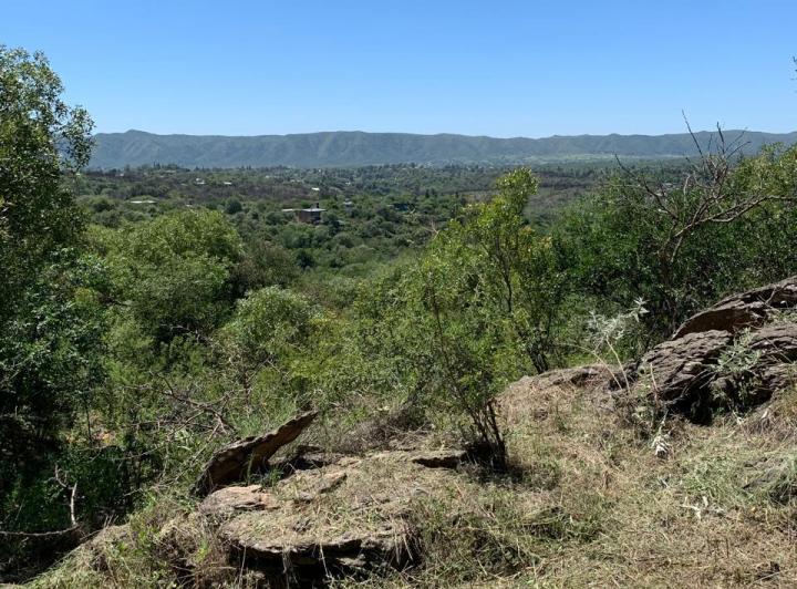 Terreno · 1352m²