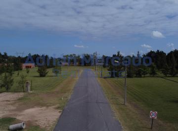 Terreno · 14000m² · Terreno en Parque Industrial Ecológico de La Cruz - 14000 m² - Venta