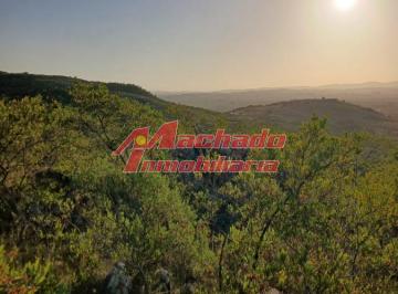 Foto1 · Chacras 5 Ha Ruta 39