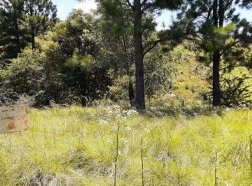 Terreno , Intiyaco · Venta de Lote en Loma del Tigre en Villa Berna - Tlc0782