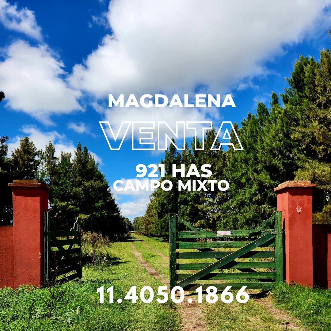 J. Ferrari, Magdalena, Magdalena