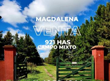 Campo , Magdalena · Venta - 921 Has en Magdalena - Campo Ganadero Sobre Asfalto - Luz Eléctrica.
