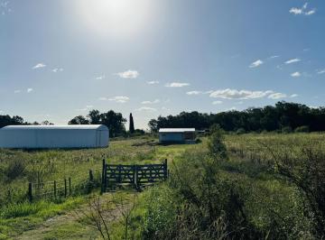 Bodega-Galpón · 345m² · 2 Ambientes · Galpón con Casa y 1 Hectárea