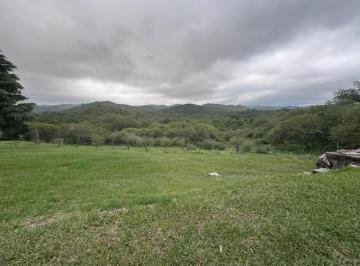 Foto · Campo Venta Falta del Carmen Sobre Ruta E96 25 Ha con Arroyo Propio