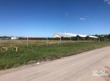 Fondo de comercio · 33000m² · 3 Ambientes · Alquiler Planta de Almacenamiento de Biodiesel Ubicada en El Parque Industrial Comirsa 2.