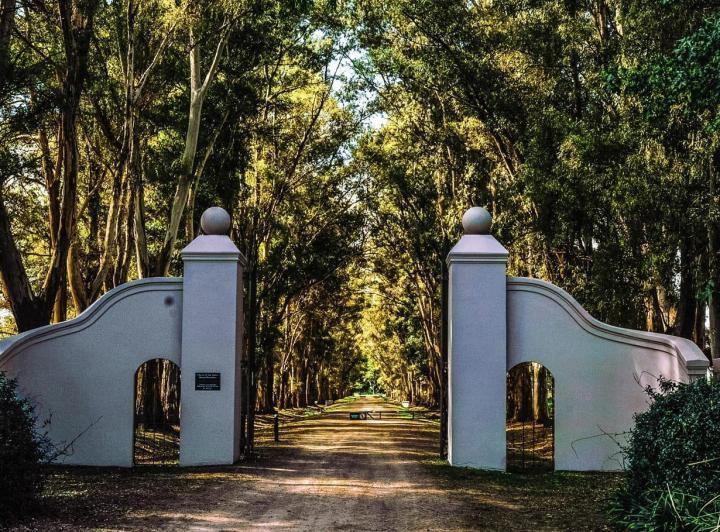 Terreno · 2450m²