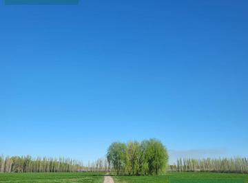 Campo · 130000m² · Chacra en Venta