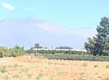 Campo , Tunuyán · Venta Finca 100 Has Tunuyan Valle de Uco Ideal Nogales y Viñedos Premium