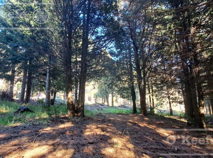 Terreno · 856m²