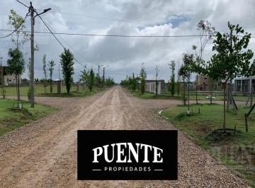Terreno · 300m² · Estilo Campo