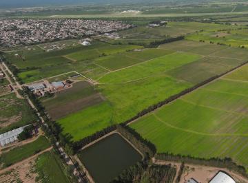 Terreno · 10540m² · Terreno en Perico