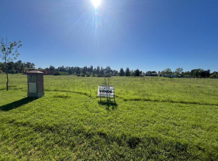 Terreno · 2500m²
