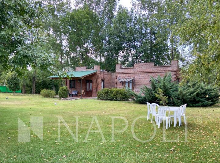 Local comercial · 10000m²