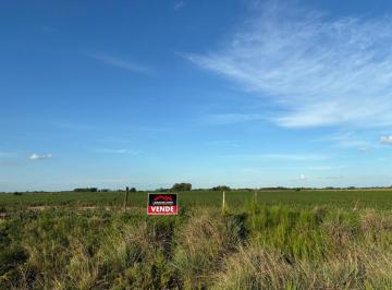 Campo · 270000m² · Campo 27 Has Agrícolas a La Venta en Junín (B)