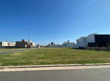 Terreno · 409m² · San Ignacio Village - Lote Central - 409 m²