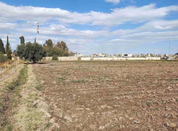 Campo , Rodeo de la Cruz · Terreno · 3 Ha · Rodeo de La Cruz · Apto Fraccionamiento · D. Riego