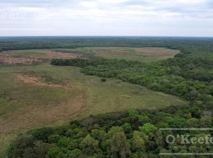 Campo · 120ha · 2 Dormitorios