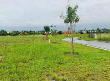 Terreno , Tigre · Lote en Puentes en Venta Exclusiva de Cadenazzi Propiedades