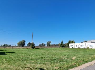 Terreno , Presidente Perón · Terreno "La Alameda" /estapa I