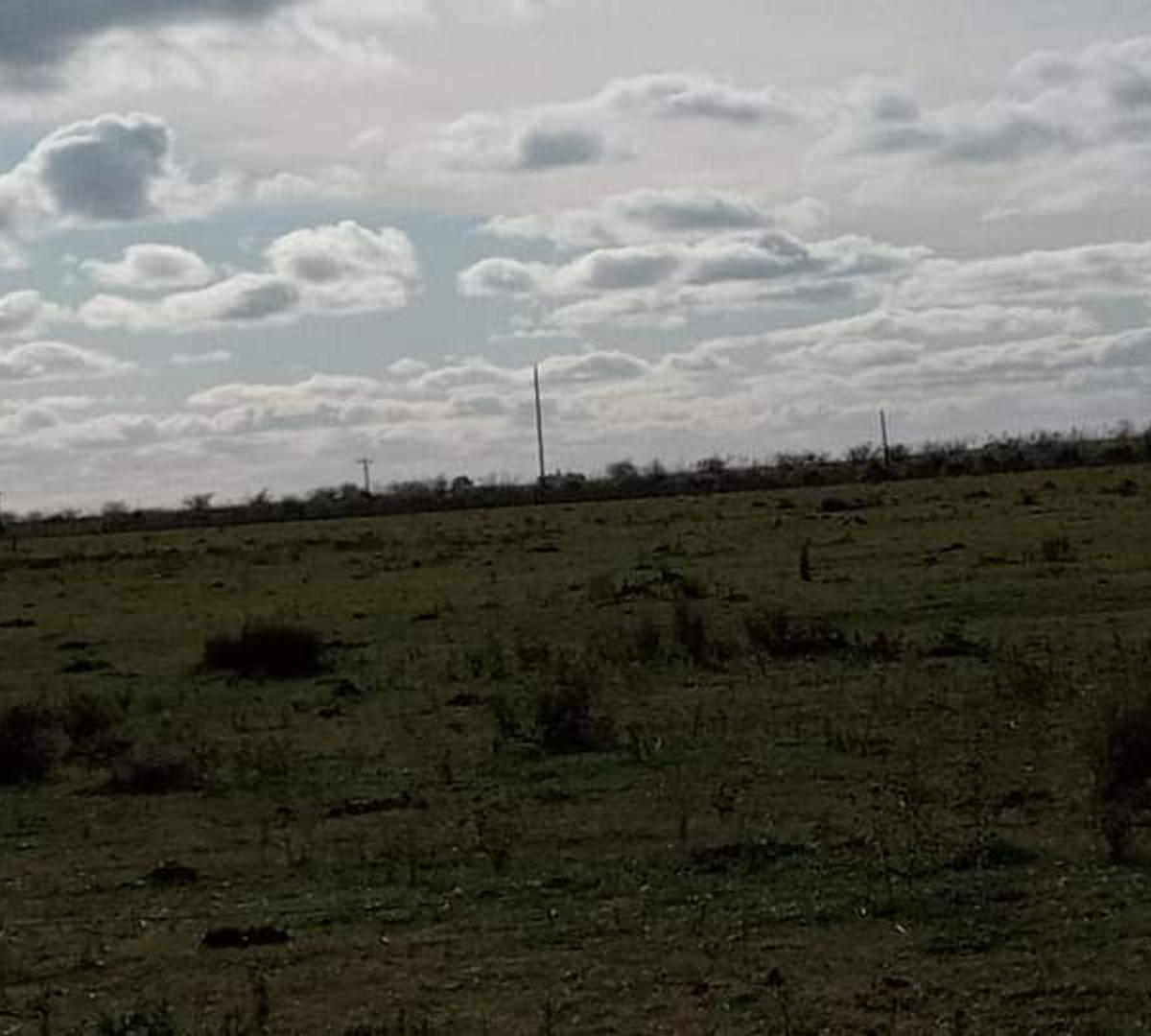 Moreno 100, Maipú, Maipú