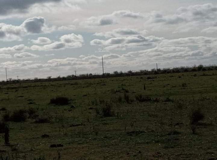 Campo · 100m² · 1 Ambiente
