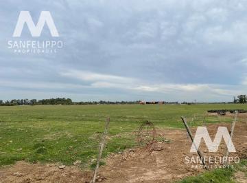 Campo · 30000m² · Campo - Chacra 17 - Venta - Chascomús