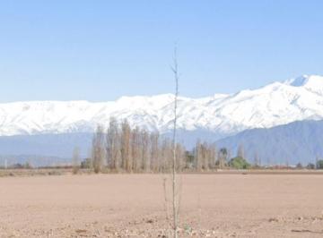 Campo , Luján de Cuyo · Venta Finca Inculta 20 Has Perdriel Luján de Cuyo Ideal Proyecto Eno Turístico