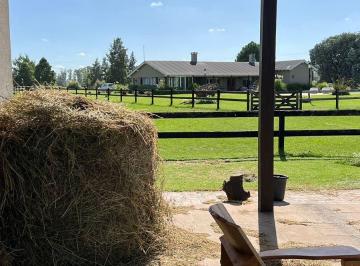 Casa de 5 ambientes, San Miguel del Monte · Hermosa Chacra en Venta en Benquerencia Farm Club
