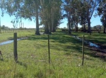 Campo , Zárate · Vendo Fracción de 120ha en Isla Talavera Zárate