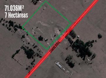 Campo · 71036m² · Campo en Venta - 71.036 m² - 7 Hectáreas - Magdalena, Atalaya