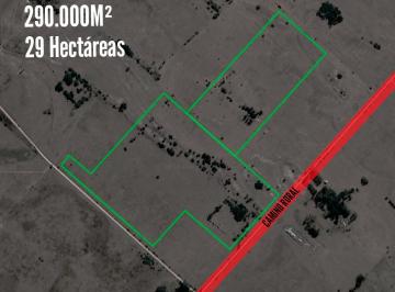 Campo · 290000m² · Campo en Venta - 290.000 m² - 29 Hectáreas - Magdalena, Atalaya