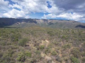 Terreno · 33400m² · Terreno - Carpinteria