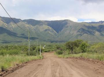 Terreno , Cortaderas · Terreno - Cortaderas