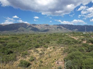 Terreno , Cortaderas · Terreno - Cortaderas