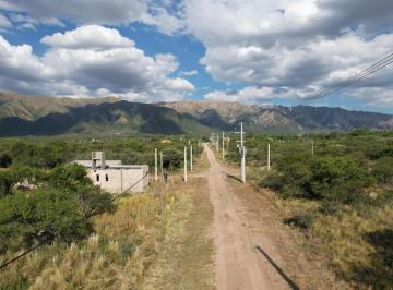 Terreno , Cortaderas · Terreno - Cortaderas