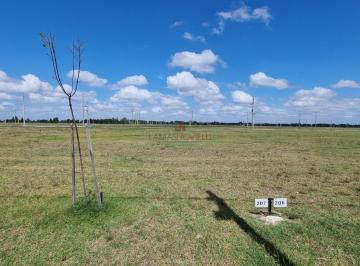 Terreno · 706m² · Lotes en Fincas Joven con Financiacion